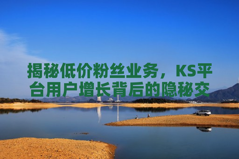 揭秘低价粉丝业务，KS平台用户增长背后的隐秘交易