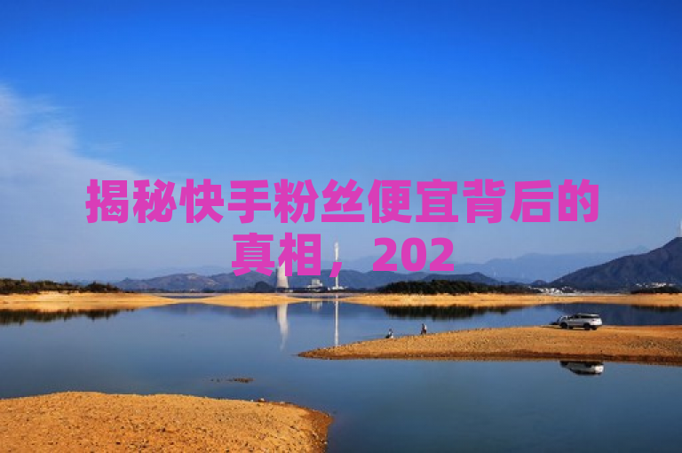 揭秘快手粉丝便宜背后的真相，2025年必学！