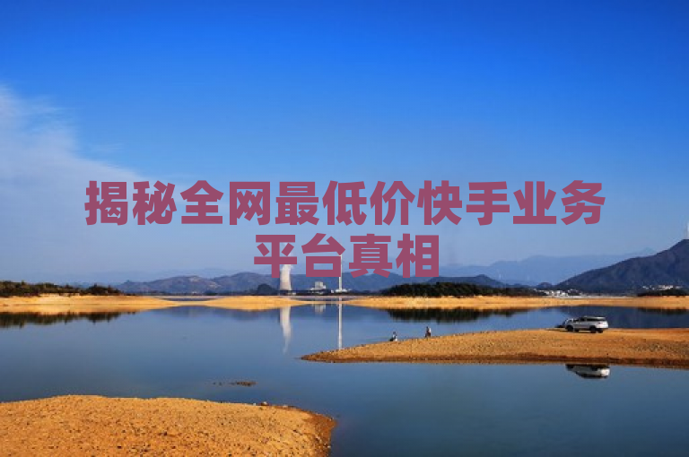 揭秘全网最低价快手业务平台真相