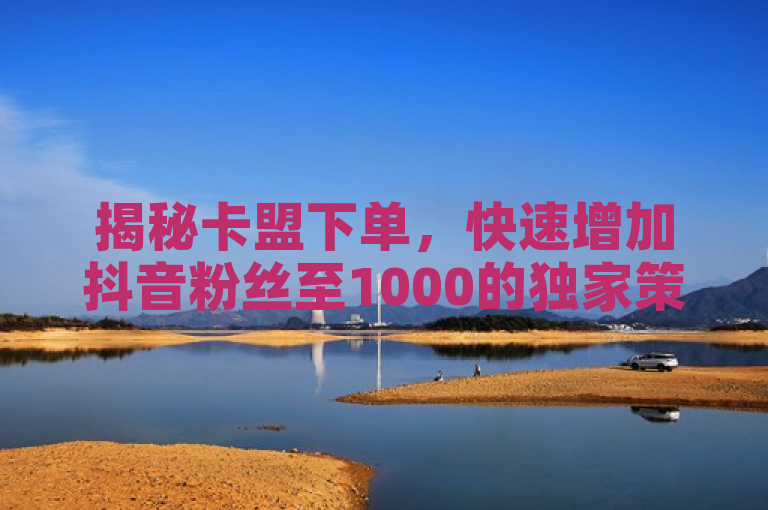 揭秘卡盟下单，快速增加抖音粉丝至1000的独家策略