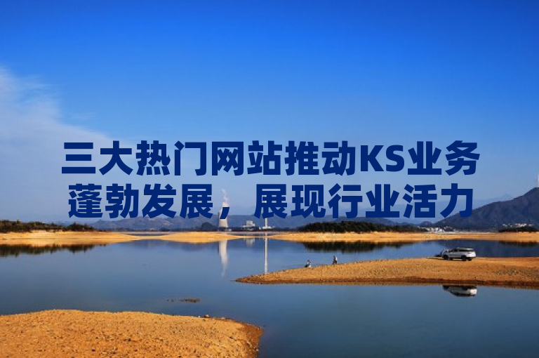 三大热门网站推动KS业务蓬勃发展，展现行业活力与创新力！
