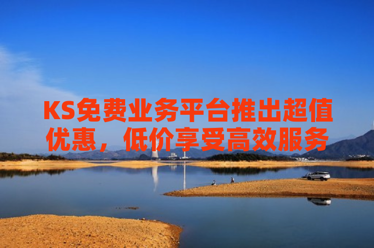 KS免费业务平台推出超值优惠，低价享受高效服务