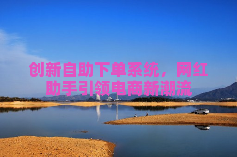 创新自助下单系统，网红助手引领电商新潮流