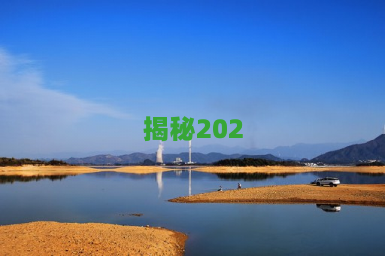 揭秘2025年必学技巧，仅需一元，实现10万空间访客的秘诀大公开！