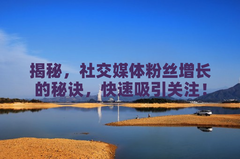 揭秘，社交媒体粉丝增长的秘诀，快速吸引关注！