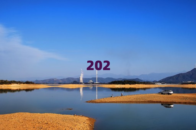 2025必学，独家揭秘24小时自助下单直播间操作技巧！