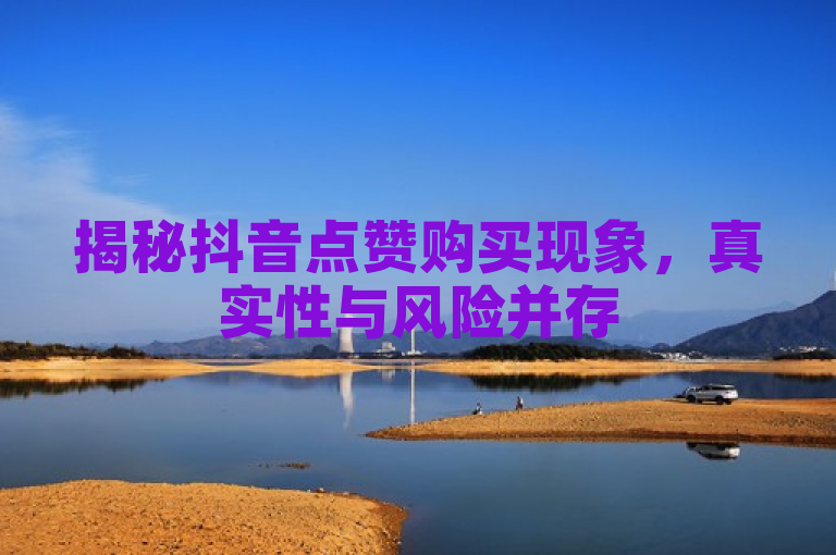 揭秘抖音点赞购买现象，真实性与风险并存