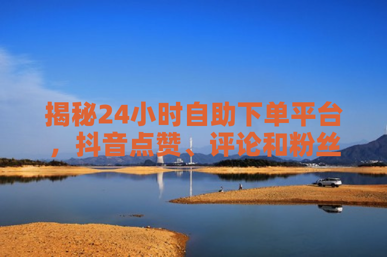 揭秘24小时自助下单平台，抖音点赞、评论和粉丝增长服务的背后真相