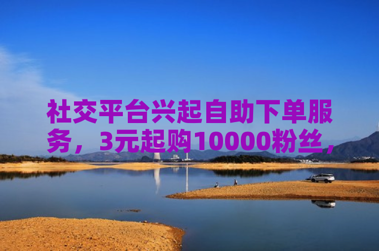 社交平台兴起自助下单服务，3元起购10000粉丝，点赞数增长有捷径