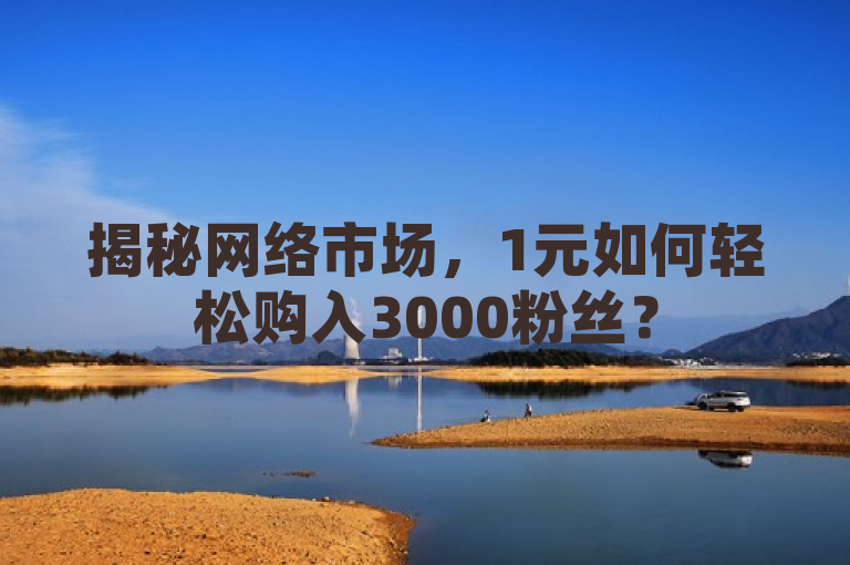 揭秘网络市场，1元如何轻松购入3000粉丝？