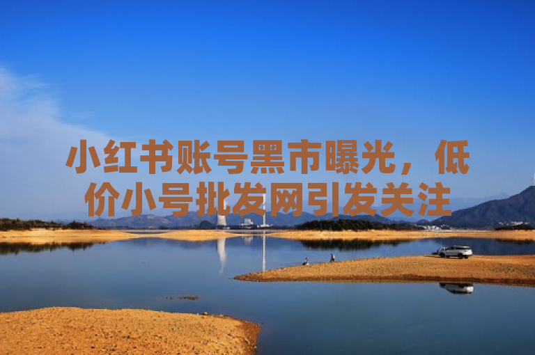 小红书账号黑市曝光，低价小号批发网引发关注