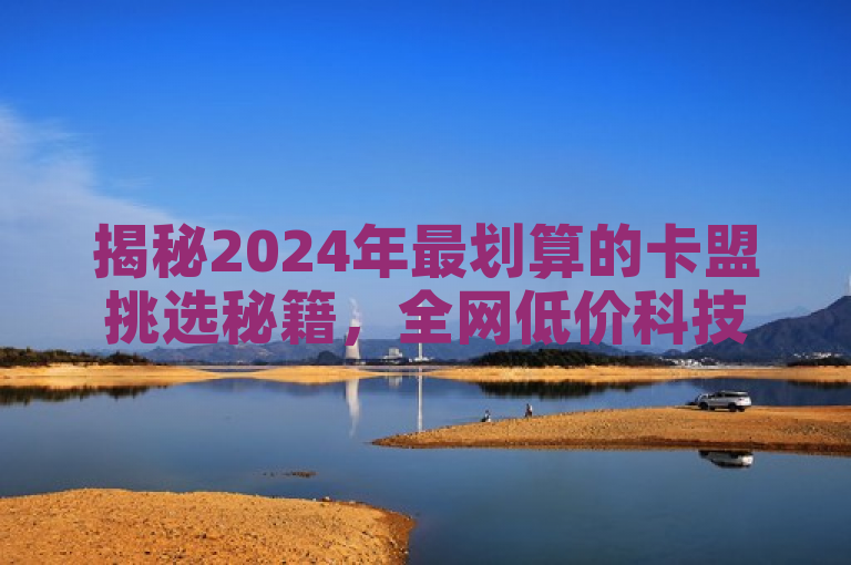揭秘2024年最划算的卡盟挑选秘籍，全网低价科技助你轻松选