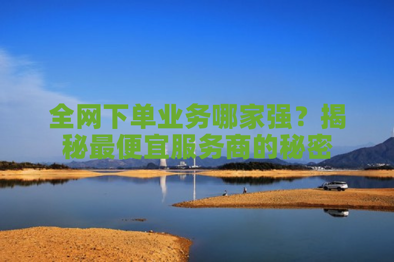 全网下单业务哪家强？揭秘最便宜服务商的秘密