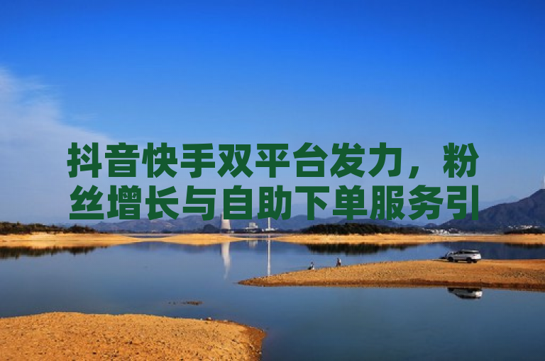 抖音快手双平台发力，粉丝增长与自助下单服务引领全网最低价潮流