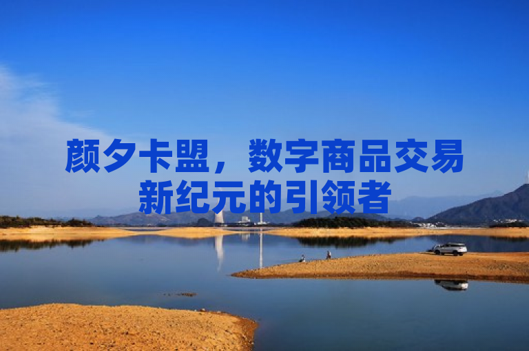 颜夕卡盟，数字商品交易新纪元的引领者