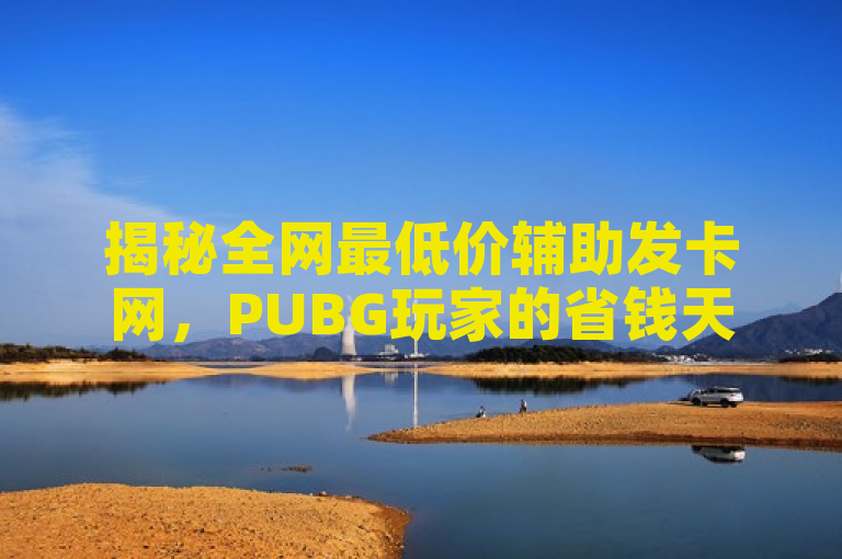 揭秘全网最低价辅助发卡网，PUBG玩家的省钱天堂，简洁明了，既传达了网站提供低价辅助的信息，又吸引了PUBG游戏玩家的注意。