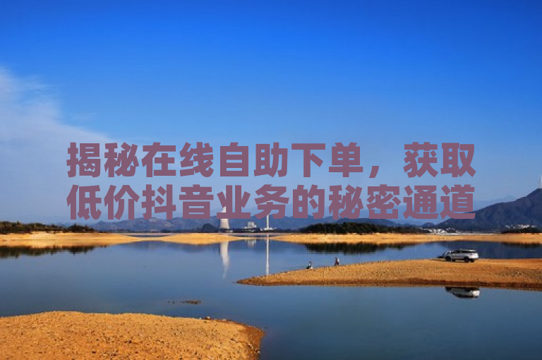 揭秘在线自助下单,获取低价抖音业务的秘密通道