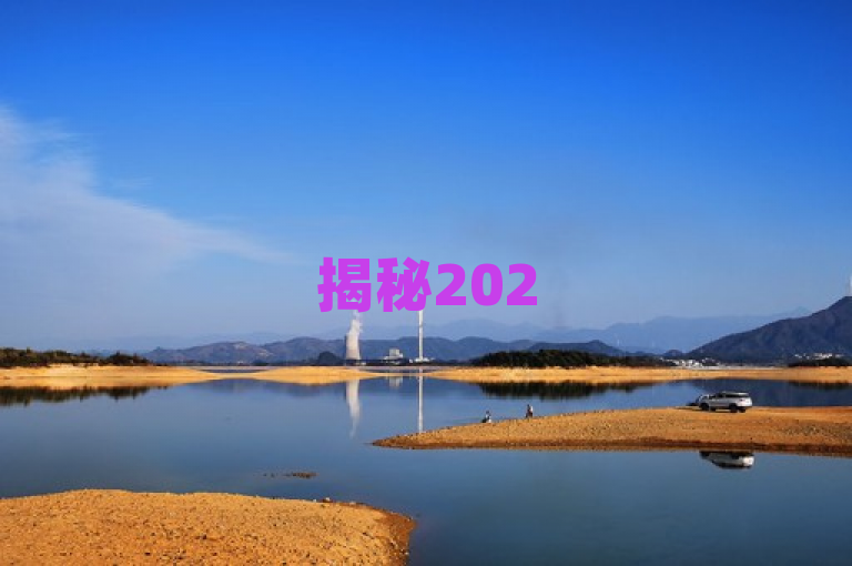 揭秘2025年必学技能，空间赞24小时自助下单网站的专业优化服务