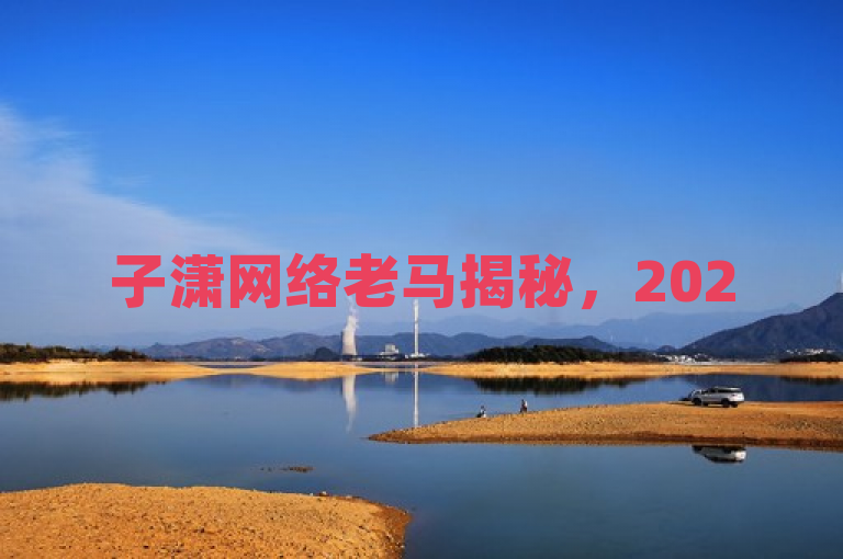 子潇网络老马揭秘,2025年必学优惠下单技巧!