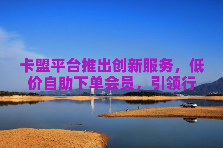 卡盟平台推出创新服务，低价自助下单会员，引领行业新风尚