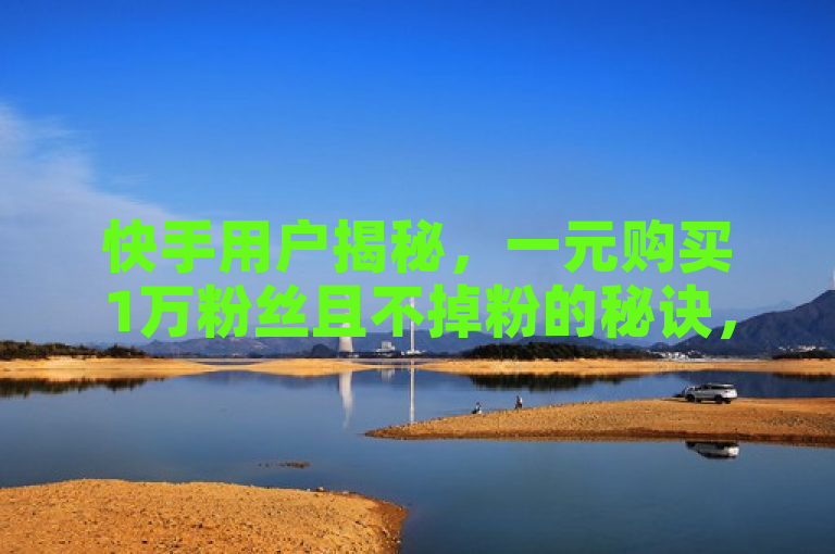 快手用户揭秘，一元购买1万粉丝且不掉粉的秘诀，视频点赞量飙升至每分钟500