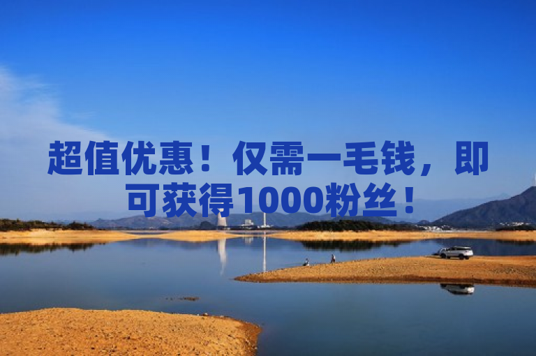 超值优惠！仅需一毛钱，即可获得1000粉丝！