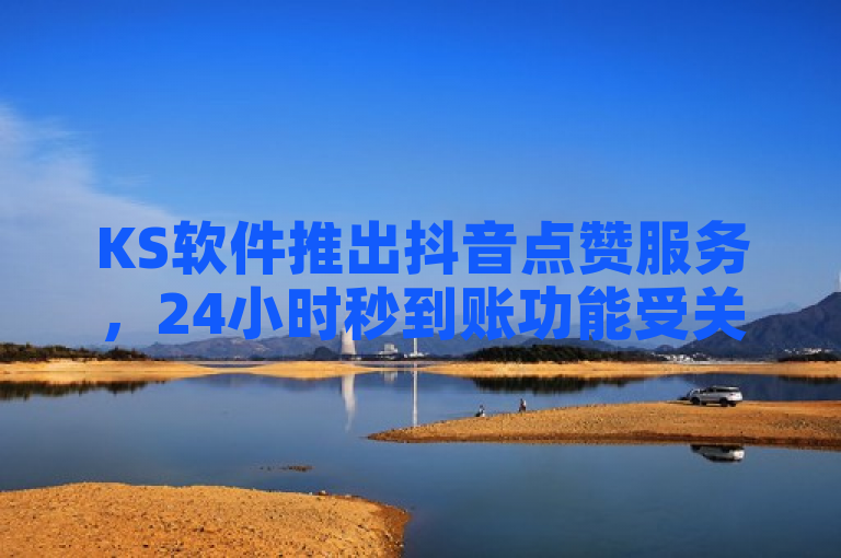 KS软件推出抖音点赞服务，24小时秒到账功能受关注