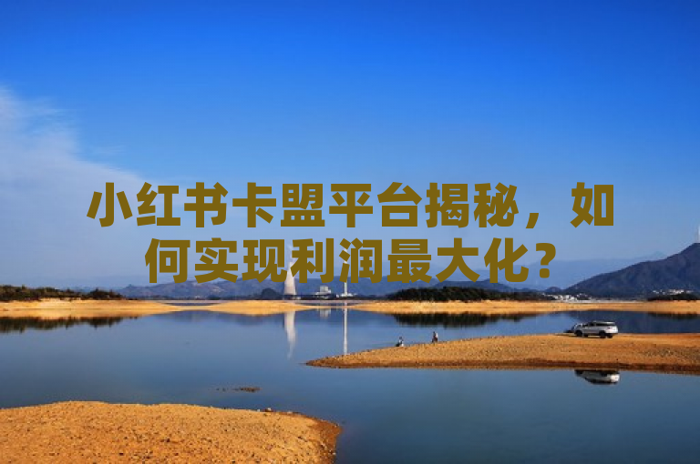 小红书卡盟平台揭秘，如何实现利润最大化？
