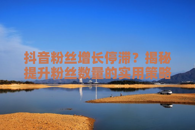 抖音粉丝增长停滞？揭秘提升粉丝数量的实用策略，简洁明了地概括了文章的核心内容，即针对抖音用户面临的粉丝增长难题，提供一系列实用的方法和策略来帮助提升粉丝数量。同时，标题也设置了一个问题，引发读者的好奇心和阅读兴趣。