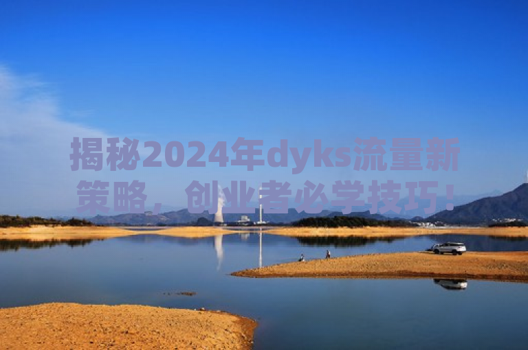揭秘2024年dyks流量新策略,创业者必学技巧!