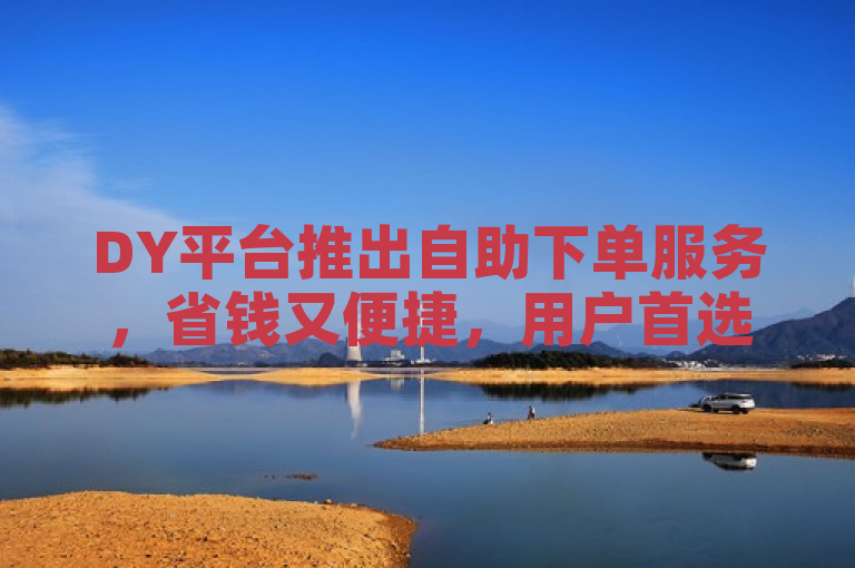 DY平台推出自助下单服务,省钱又便捷,用户首选新体验