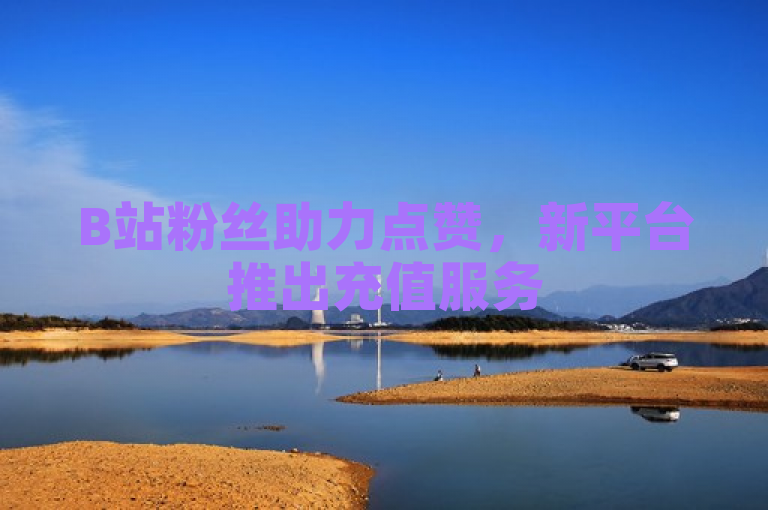 B站粉丝助力点赞，新平台推出充值服务