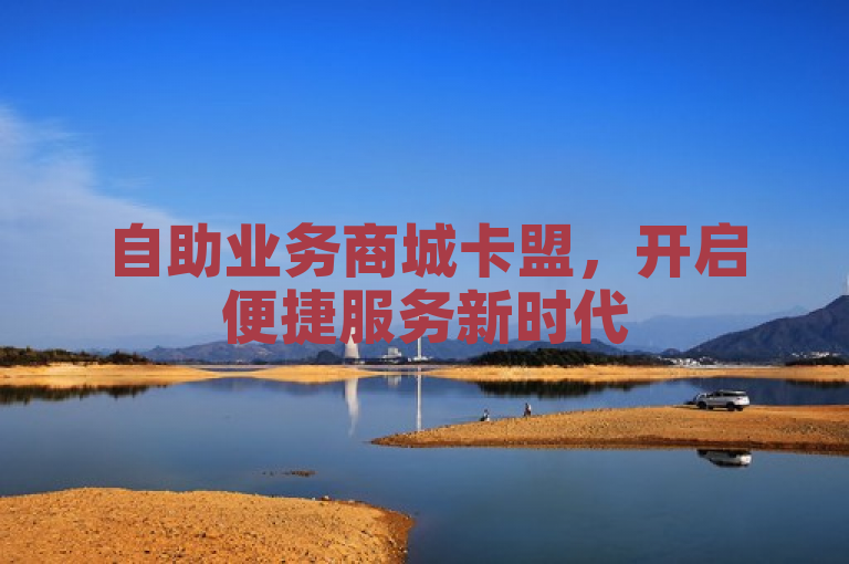 自助业务商城卡盟,开启便捷服务新时代