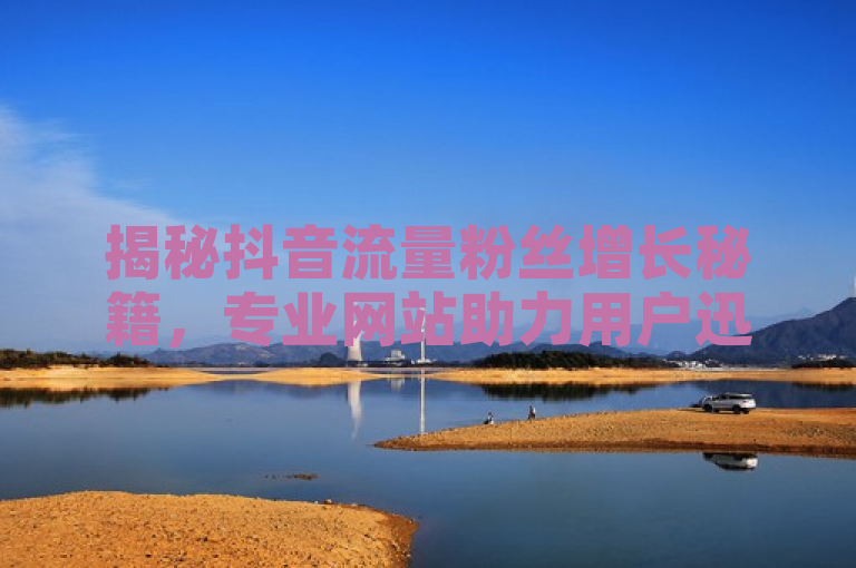 揭秘抖音流量粉丝增长秘籍，专业网站助力用户迅速提升关注度