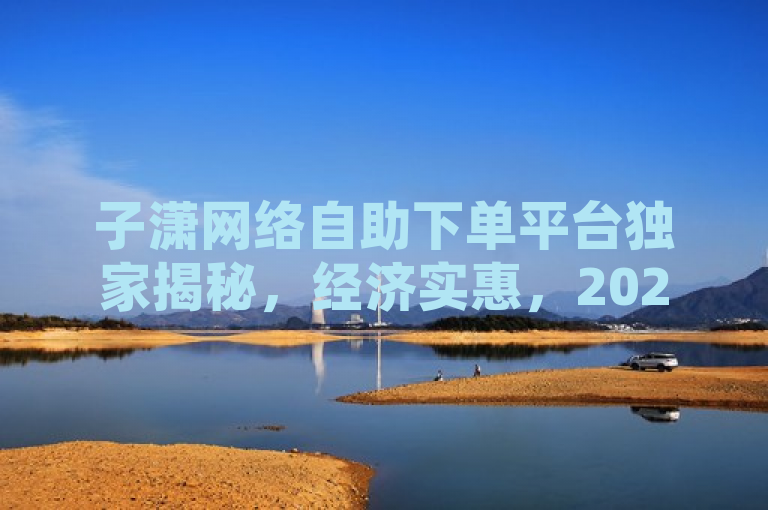 子潇网络自助下单平台独家揭秘，经济实惠，2025必学技能！