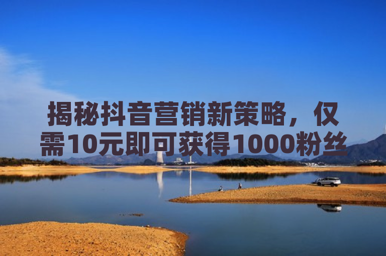 揭秘抖音营销新策略，仅需10元即可获得1000粉丝！