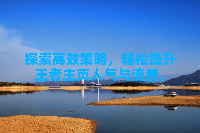探索高效策略，轻松提升王者主页人气与流量。