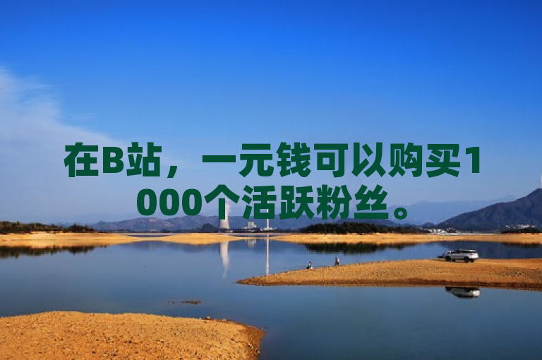 在B站，一元钱可以购买1000个活跃粉丝。