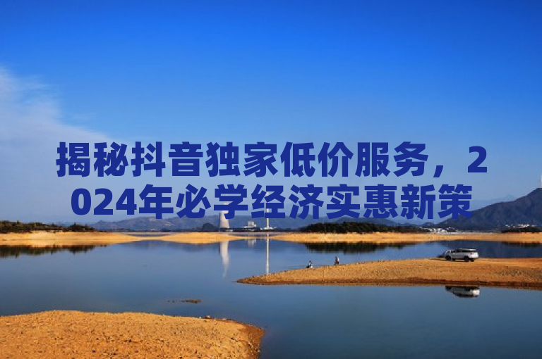 揭秘抖音独家低价服务,2024年必学经济实惠新策略!