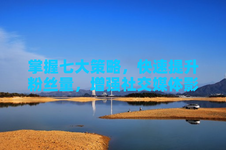 掌握七大策略,快速提升粉丝量,增强社交媒体影响力。
