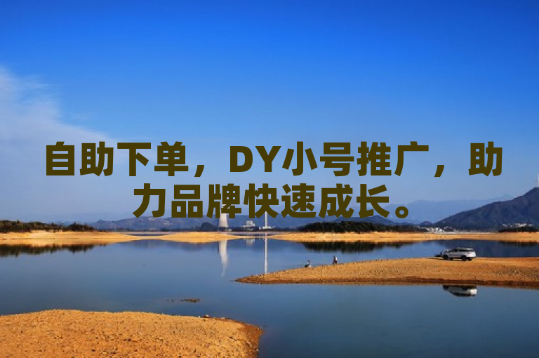 自助下单，DY小号推广，助力品牌快速成长。