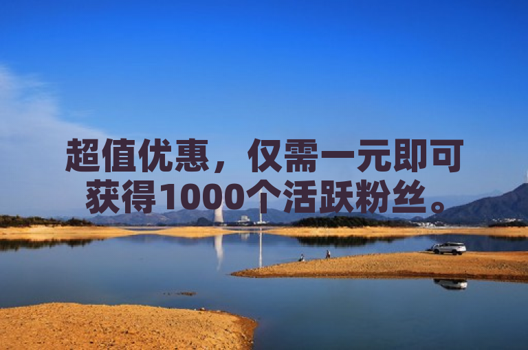 超值优惠，仅需一元即可获得1000个活跃粉丝。