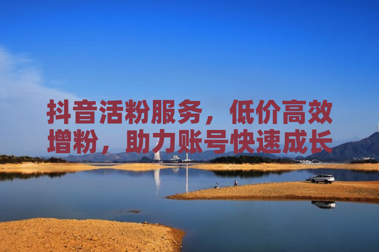 抖音活粉服务，低价高效增粉，助力账号快速成长。