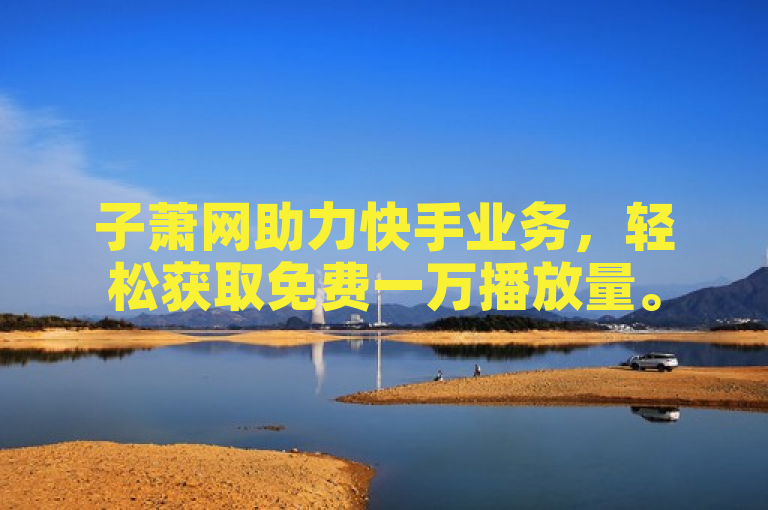 子萧网助力快手业务，轻松获取免费一万播放量。