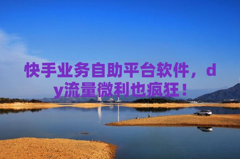 快手业务自助平台软件，dy流量微利也疯狂！
