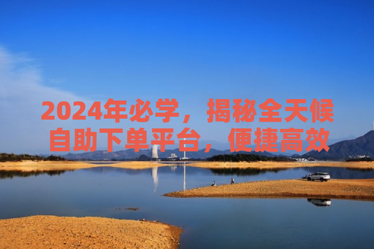 2024年必学，揭秘全天候自助下单平台，便捷高效新体验！