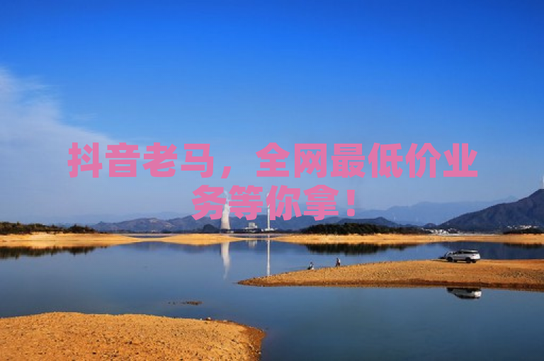 抖音老马，全网最低价业务等你拿！