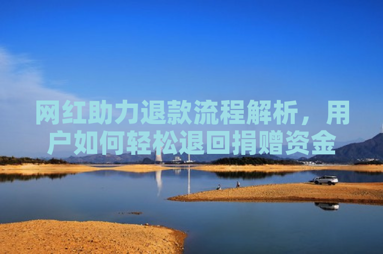 网红助力退款流程解析，用户如何轻松退回捐赠资金