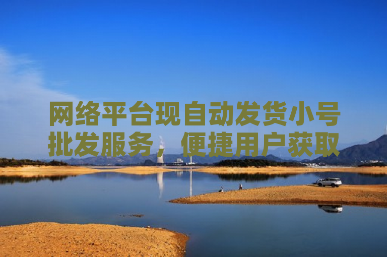 网络平台现自动发货小号批发服务，便捷用户获取多账号。