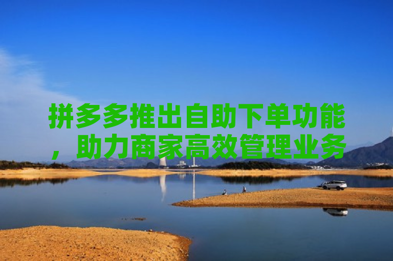 拼多多推出自助下单功能，助力商家高效管理业务。